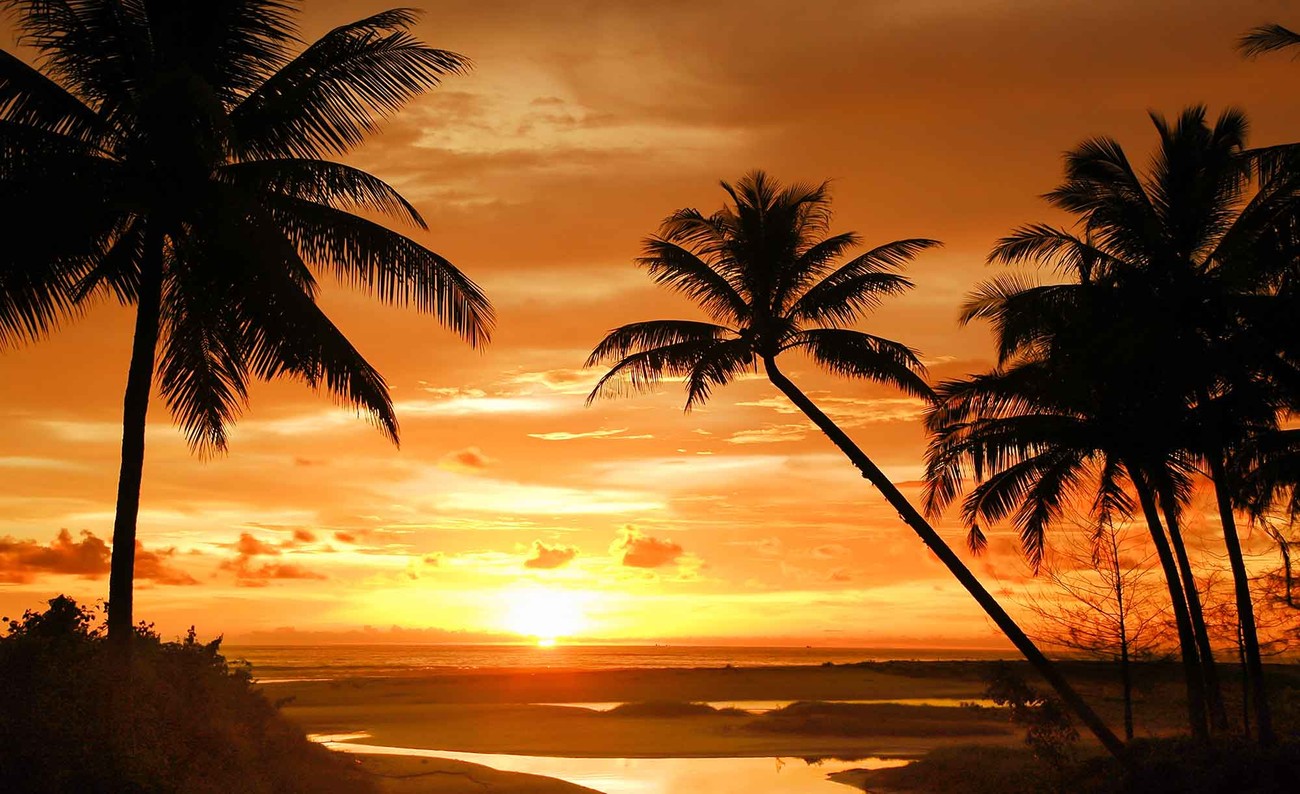 WALL MURAL PHOTO WALLPAPER XXL Beach Tropical Sunset Palms 889WS 