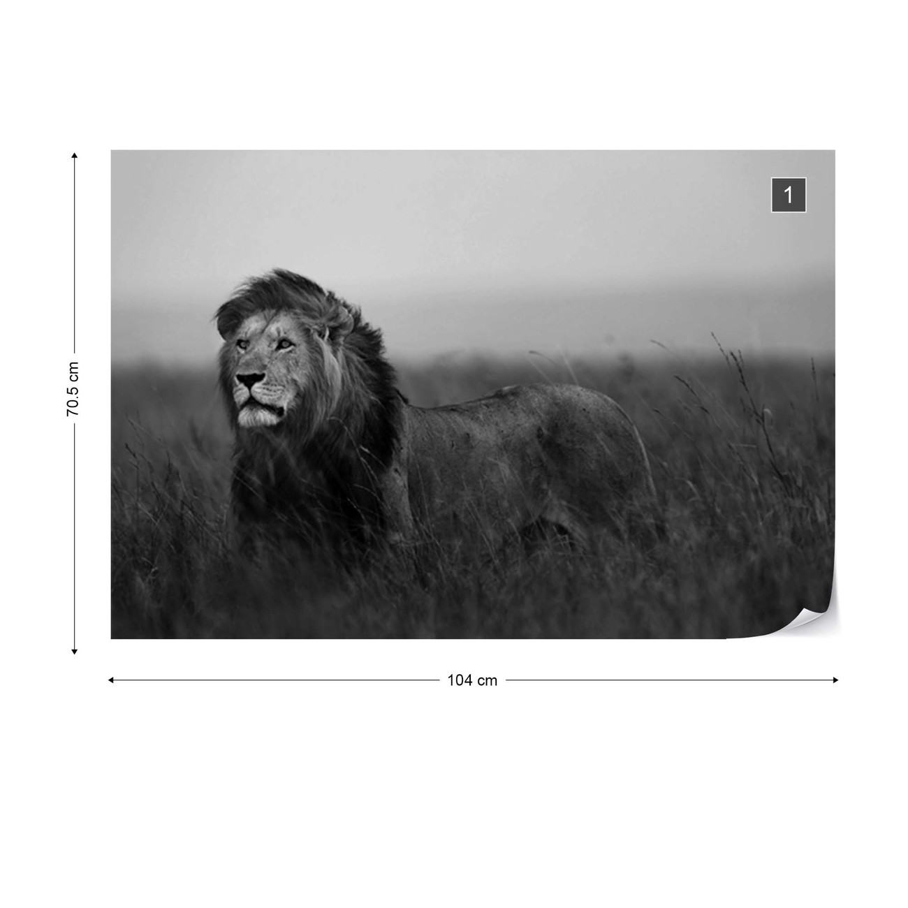 Black And White Lion Wall Paper Mural Buy At Europosters