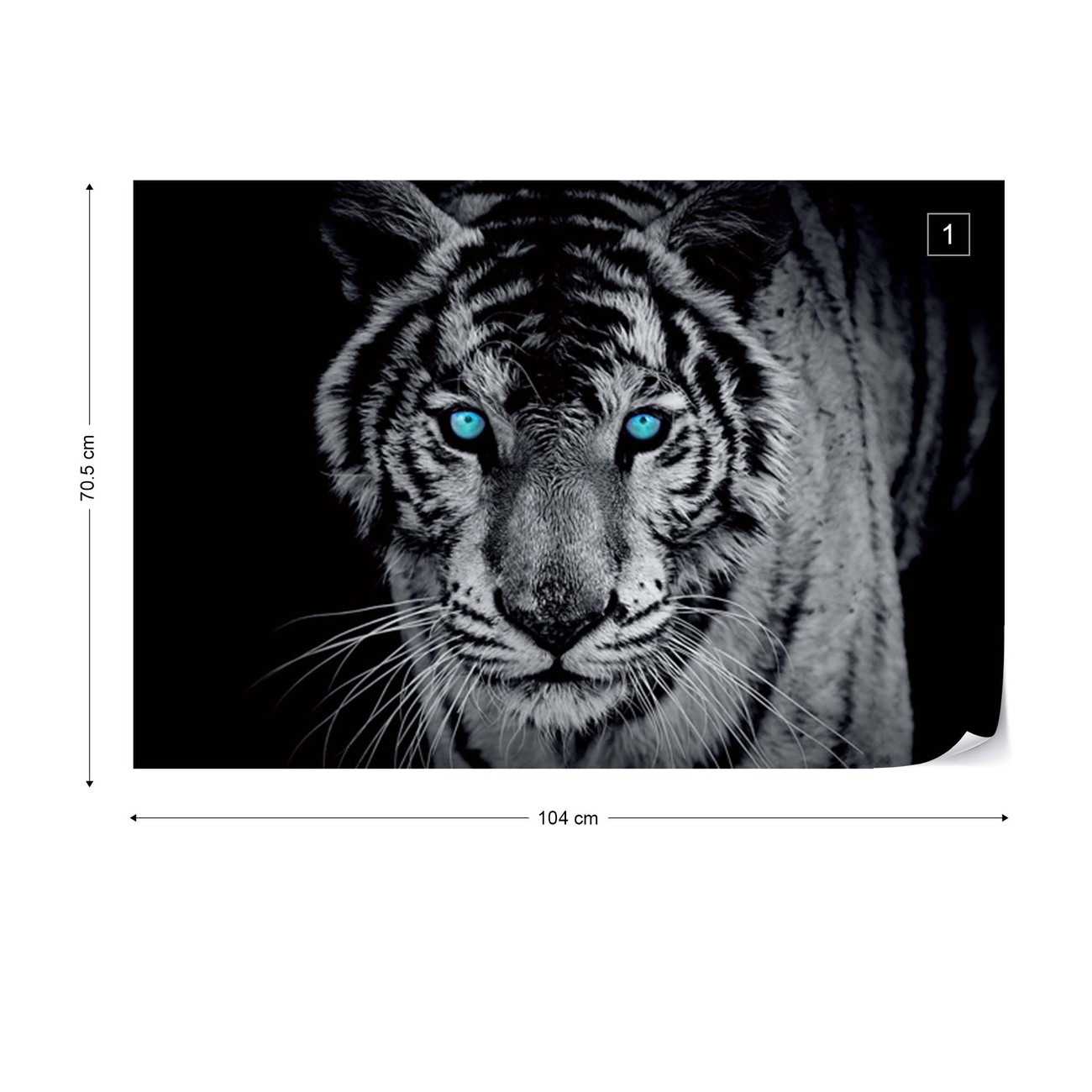 Tiger Wall Paper Mural | Buy at EuroPosters