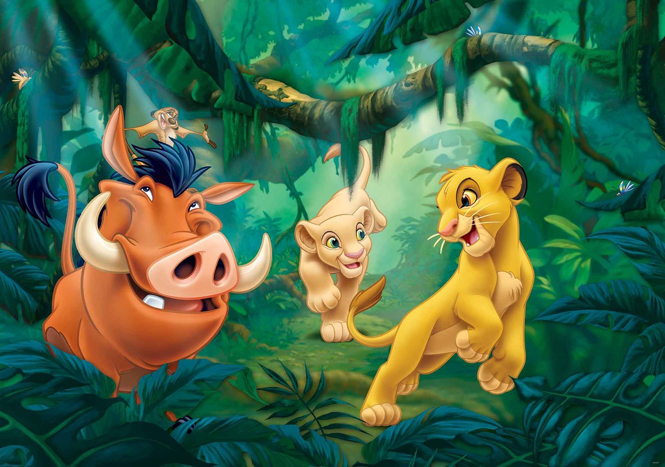 the character of simba in the disney movie the lion king the character of simba in the disney movie the lion king