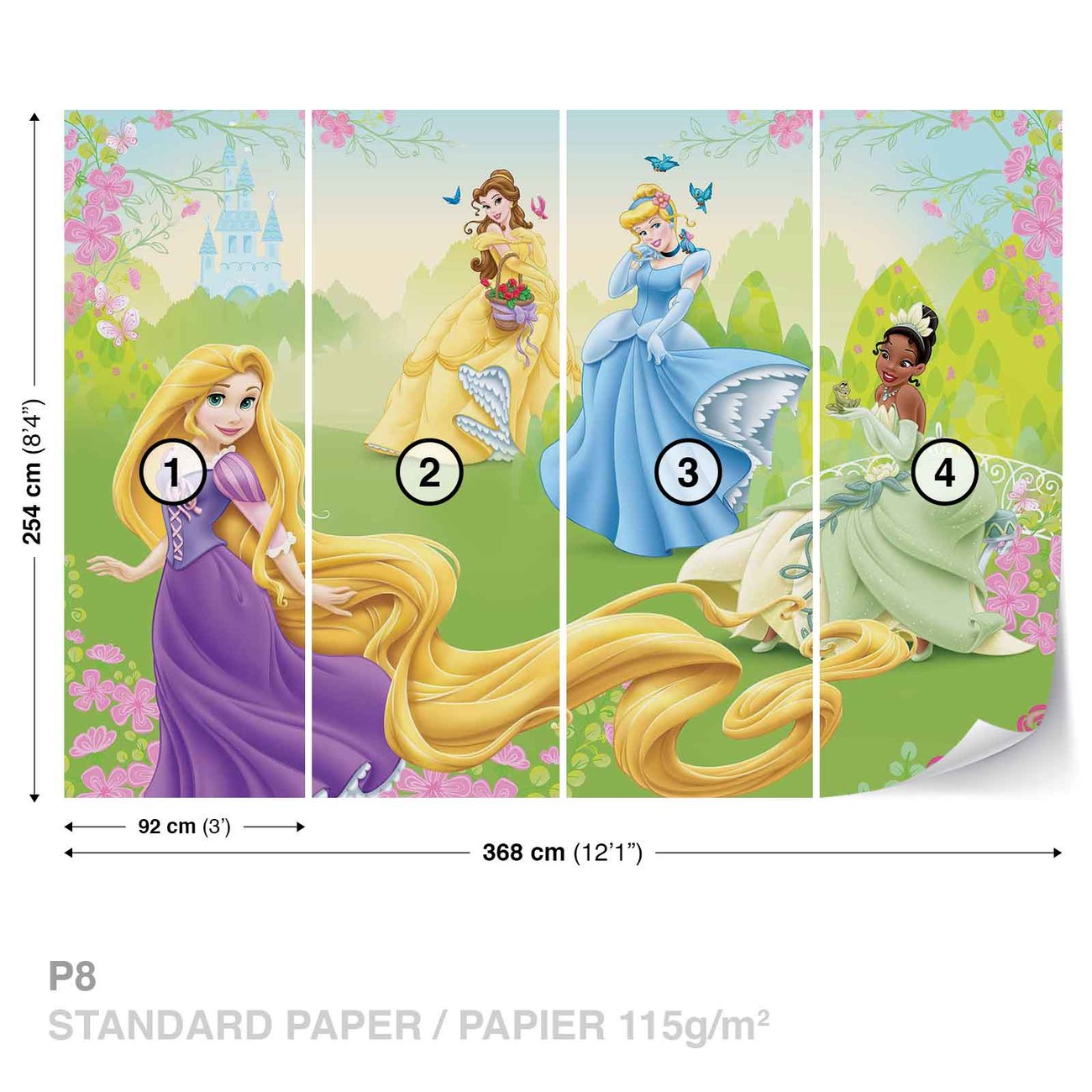 Poster DISNEY PRINCESS - sleeping beauty, Wall Art, Gifts & Merchandise