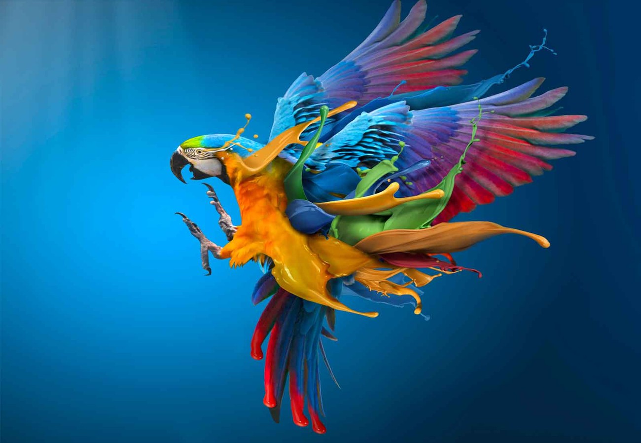 Parrot Wall Paper Mural Buy At Europosters