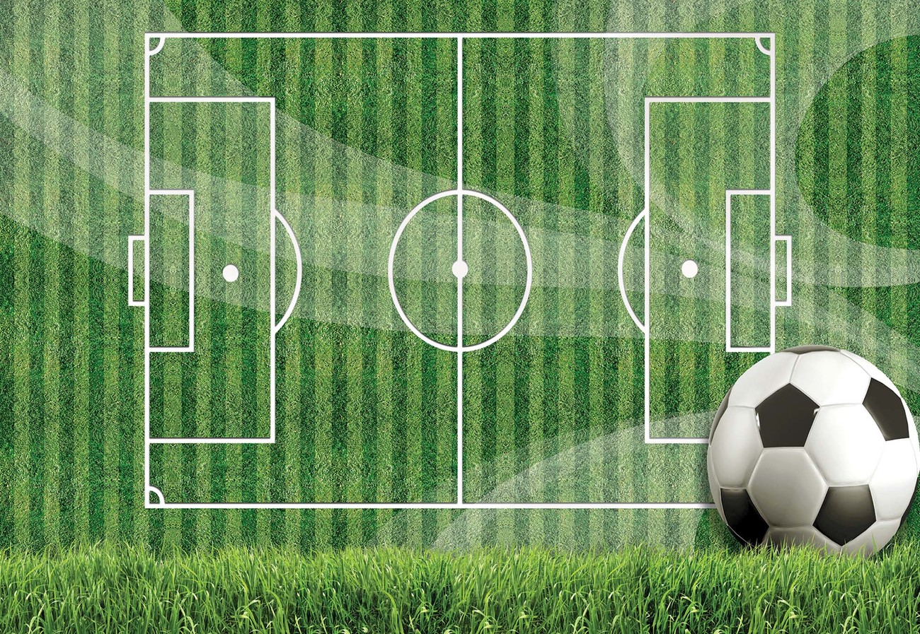 Football Pitch Wall Paper Mural Buy at EuroPosters