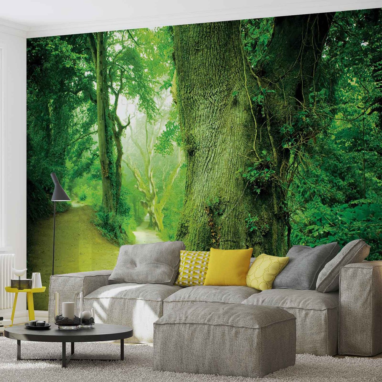 Forest Nature Trees Wall Paper Mural | Buy at EuroPosters