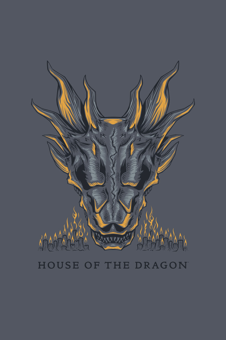 House of Dragon - Dragon in Fire Wall Mural | Buy online at
