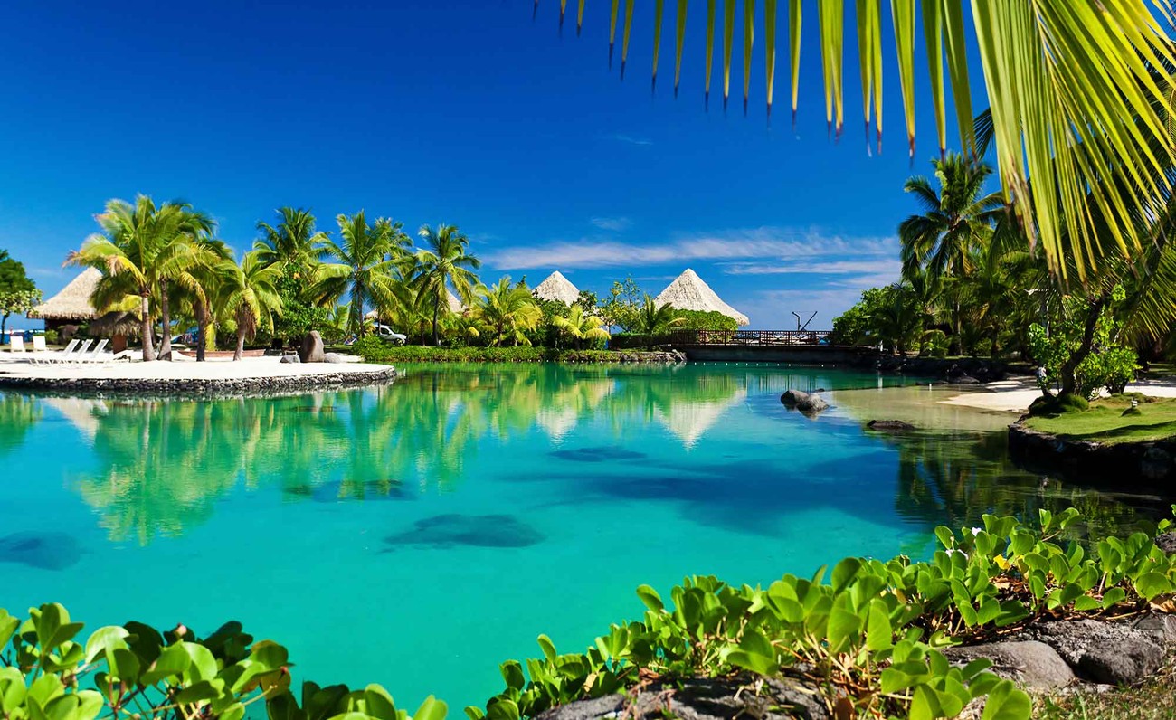 Island Palms Tropical Sea Wall Paper Mural Buy At Abposters Com