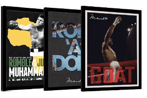 Framed Posters - Sport
