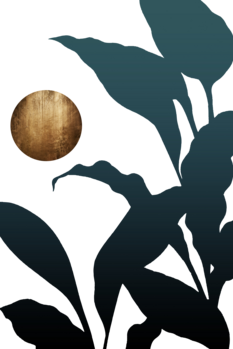 T-skjorte In The Jungle