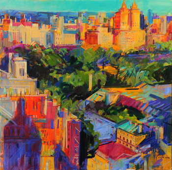 Принти на полотні Above Central Park
