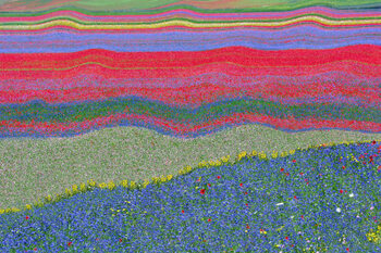 Αυτοκόλλητο Abstract landscape 24