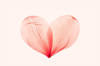Αυτοκόλλητο Abstract shape heart from pink red