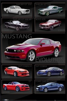 Ford mustang compilation poster #8