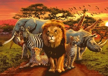 3D Αφίσα African kingdom