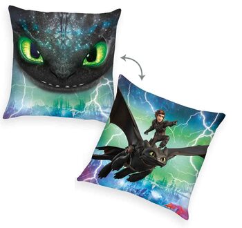 Almofada How To Train Your Dragon - Toothless