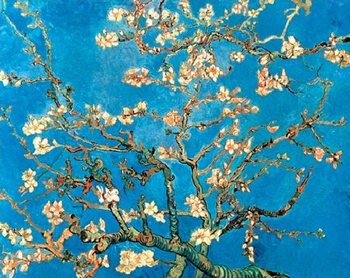 Πλαισιωμένη αφίσα Almond Blossom