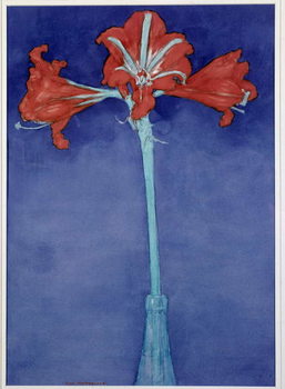 Принти на полотні Amaryllis