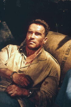 Принти на полотні Arnold Schwarzenegger, Collateral Damage