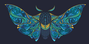 Illustration Abstract mystical Moth in psychedelic design.