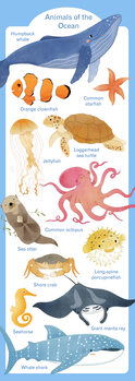 Ilustração Animals of the Ocean