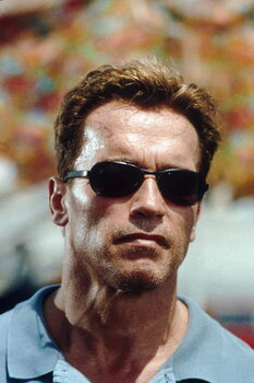 Art Photography Arnold Schwarzenegger, Collateral Damage 2001