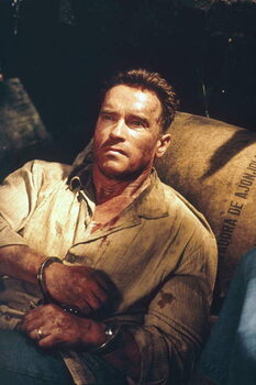Art Photography Arnold Schwarzenegger, Collateral Damage