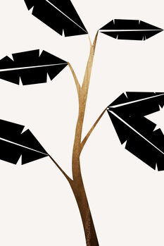 Illustration Banana Tree