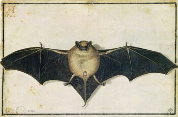 Reprodução do quadro Bat, 1522