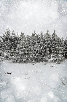 Illustration Beautiful winter landscape with snow covered trees