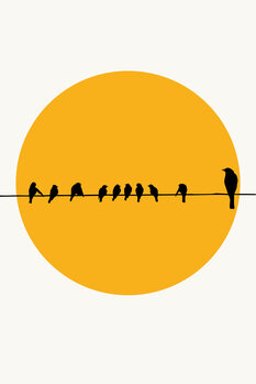 Ilustração Birds Family