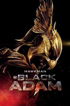 Taidejuliste Black Adam - Hawkman