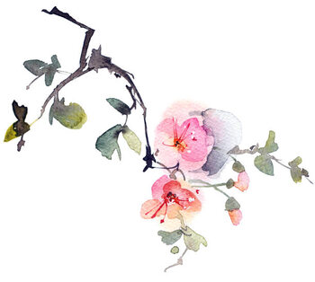 Illustration Blossom tree branch