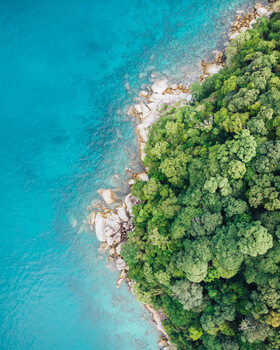 Art Photography Blue & Broccoli