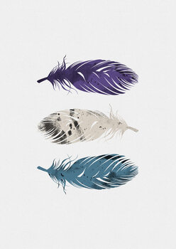 Ilustração Blue Purple White Feathers