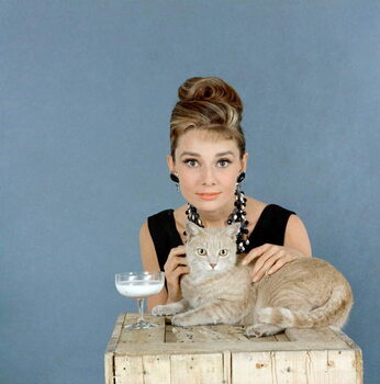 Fine Art Print Breakfast at Titffany's, Audrey Hepburn with cat
