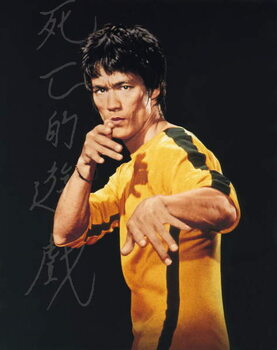 Reprodução do quadro Bruce Lee