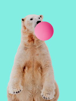 Illustration Bubblegum polarbear