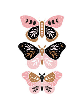 Ilustração Celestial butterfly vector illustration.