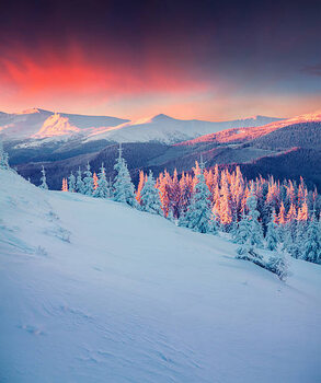 Ilustração Colorful winter scene in the Carpathian mountains.