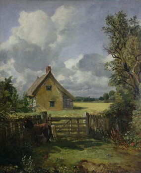 Reprodução do quadro Cottage in a Cornfield
