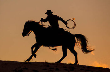 Impressão de arte Cowboy & Horse Sunset Silhouette