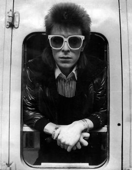 Reprodução do quadro David Bowie, 1973