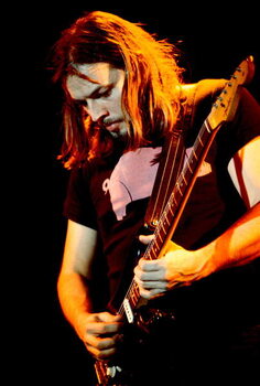 Reprodução do quadro David Gilmour, February 1977: concert of rock band Pink Floyd