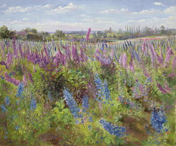 Fine Art Print Delphiniums and Poppies, 1991