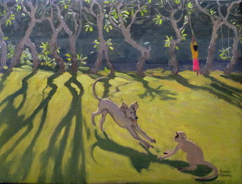 Reprodução do quadro Dog and Monkey, Sri Lanka,1998