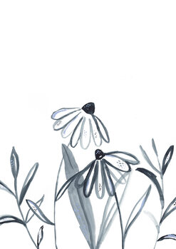 Illustration Echinacea meadow