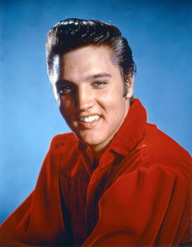 Reprodução do quadro Elvis Presley 1956