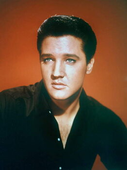 Valokuvataide Elvis Presley 1963