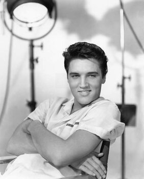 Reprodução do quadro Elvis Presley