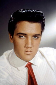 Reprodução do quadro Elvis Presley