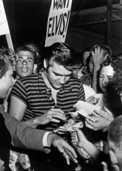 Reprodução do quadro Elvis Presley Signing Autographs To his Admirers in 1956